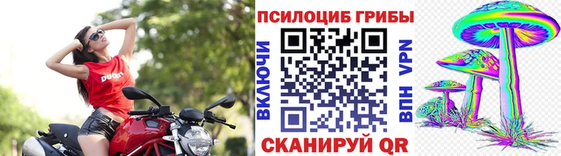 Псилоцибиновые грибы прущие грибы Ковдор